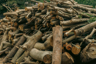 Full frame shot of logs