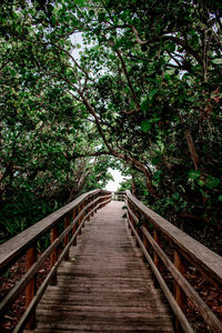 View of footbridge in forest