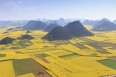 High angle view of oilseed rape farms against sky