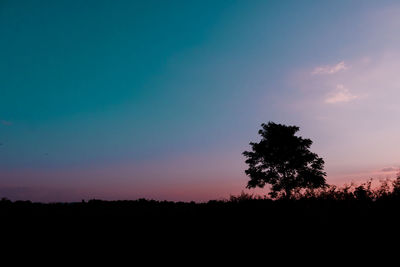 Silhouette trees against sky during sunset