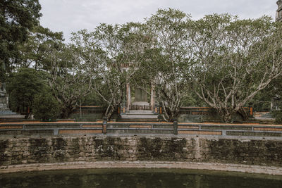 Trees in park during rainy season