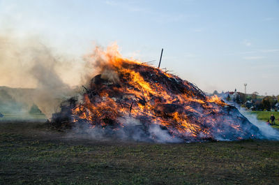 Panoramic view of grass