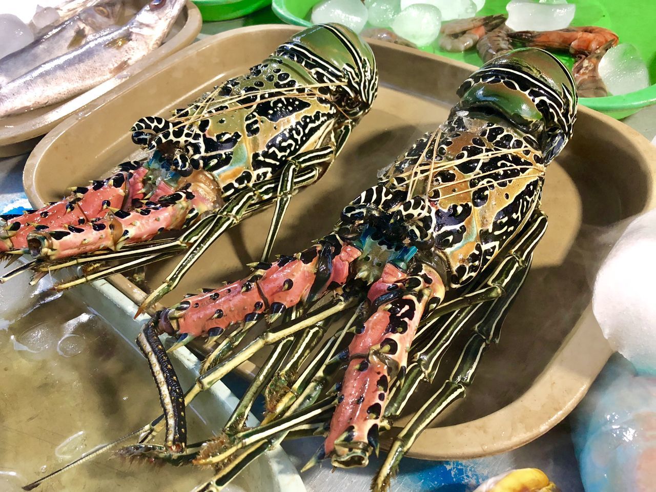 CLOSE-UP OF DECORATIONS ON TABLE