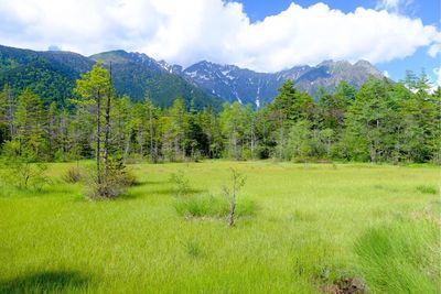 Scenic view of green landscape and mountains against sky