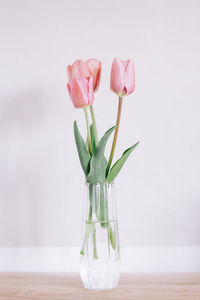 Close-up of flowers in vase on table