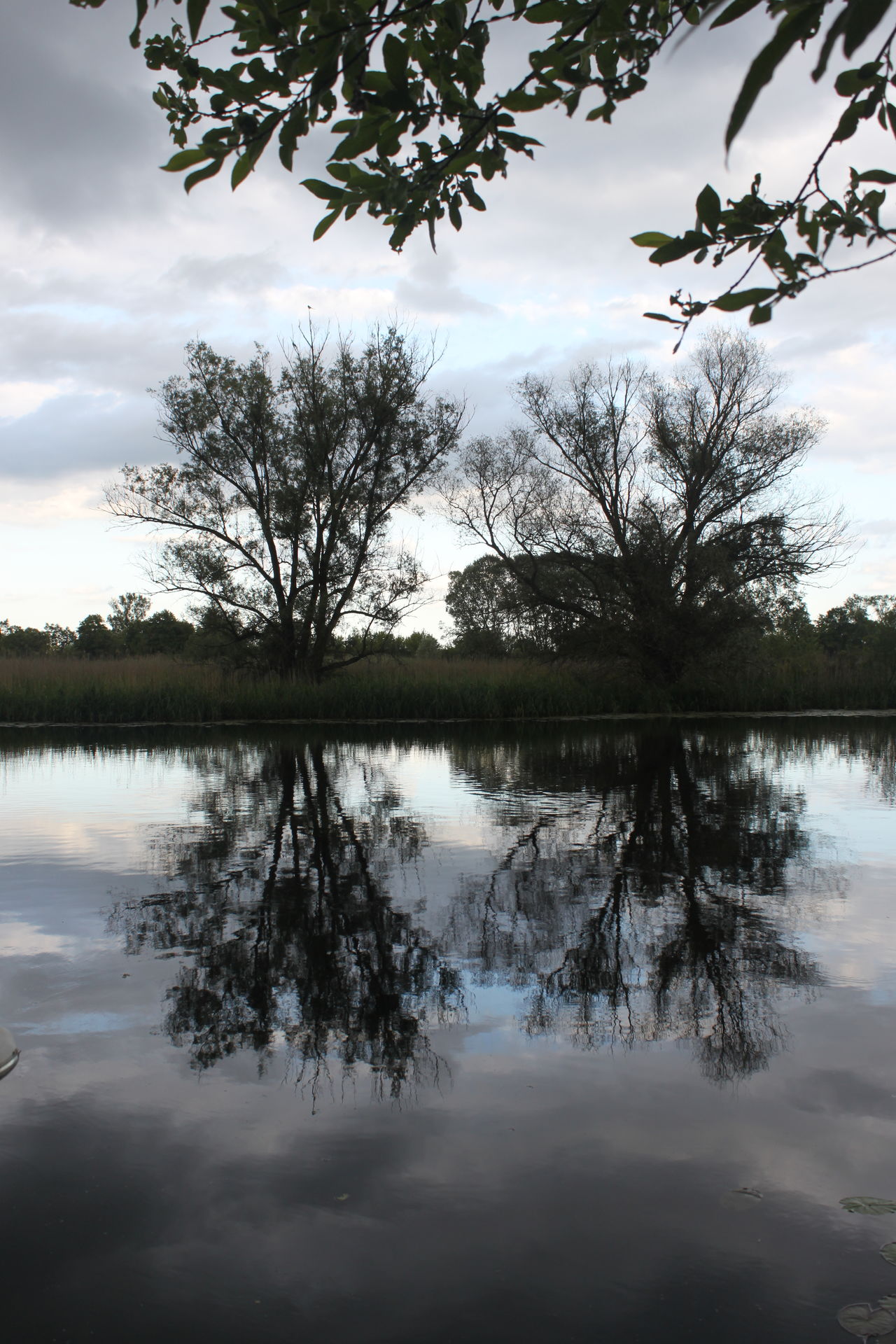 Reflecting river