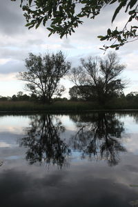 Reflection of trees in lake against sky