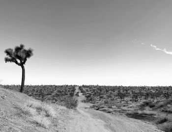 Dirt road amidst field against sky