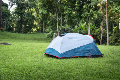 Tent on field against trees