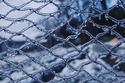 Detail shot of chainlink fence