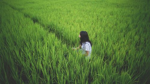 Rear view of woman sitting on rice field