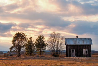 Trees on field against sky during sunset