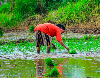 Side view of man standing in lake