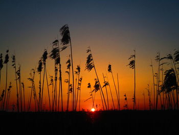 Silhouette plants on field against romantic sky at sunset