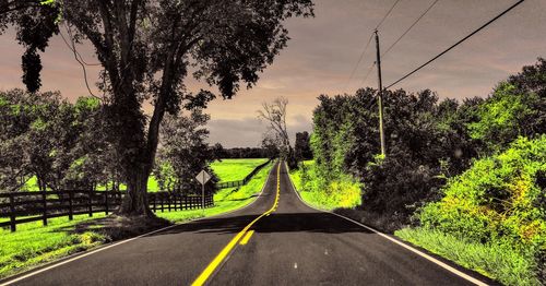 Road amidst trees against sky