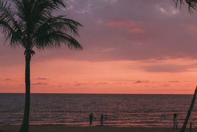 Silhouette palm trees on beach against sky during sunset