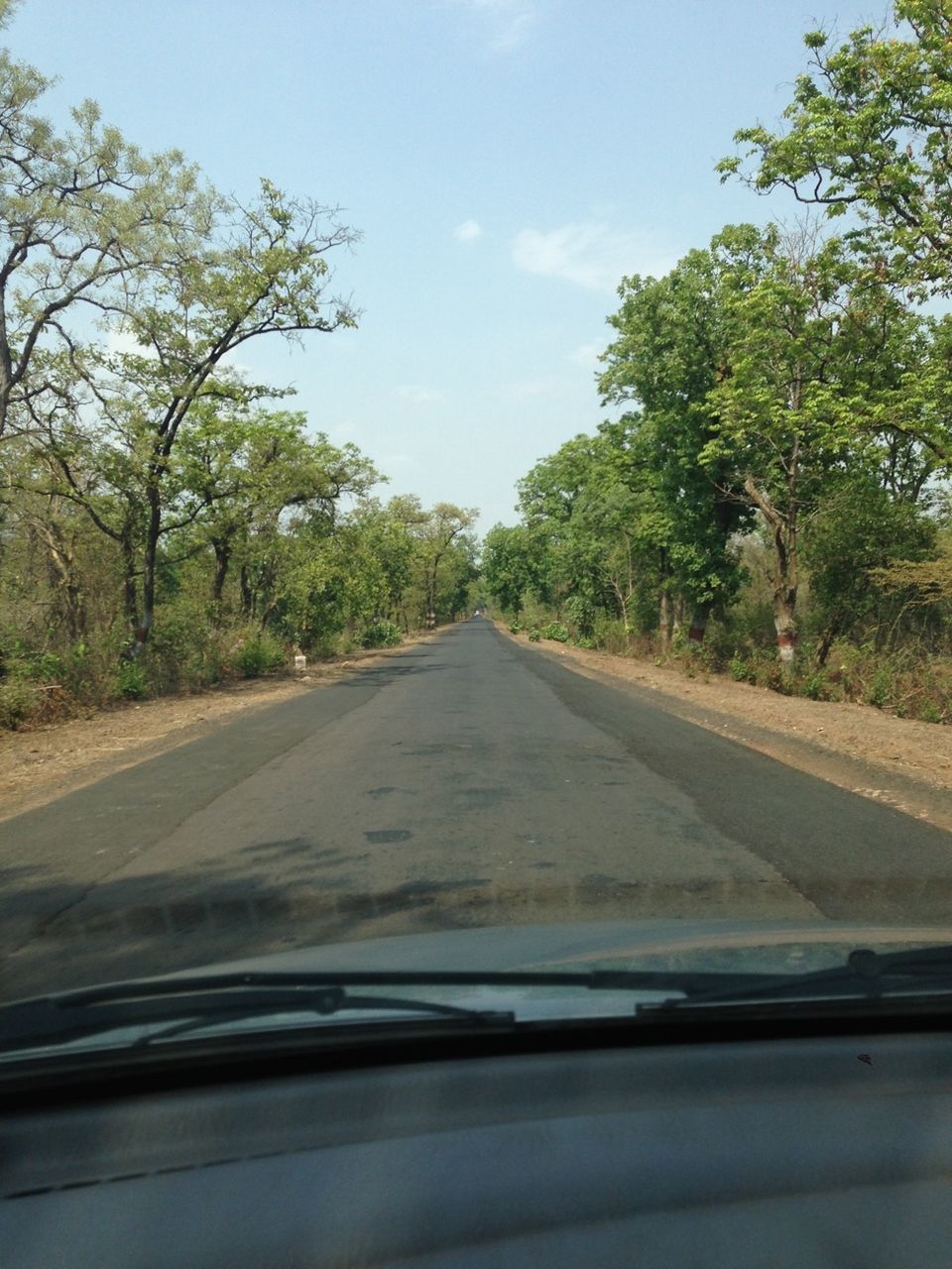 transportation, tree, road, the way forward, windshield, car, mode of transport, road marking, diminishing perspective, vehicle interior, sky, land vehicle, transparent, glass - material, car interior, country road, vanishing point, car point of view, travel, day