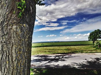 Scenic view of field against sky