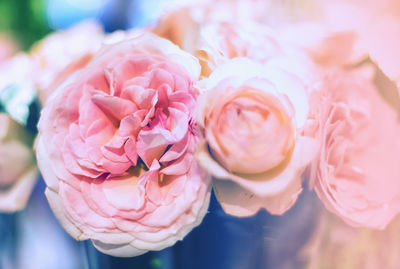 Close-up of rose bouquet