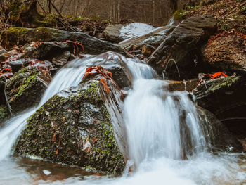 View of waterfall in forest