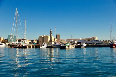 Sailboats moored in harbor