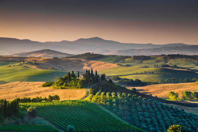 Scenic view of field against sky during sunset