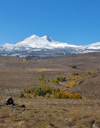 Autumn colors in front of the sierra nevada mountains