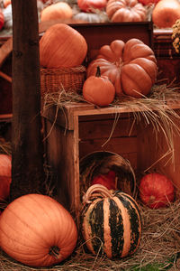 Orange pumpkins in a hay. farmer's market. autumn thanksgiving day background. halloween.