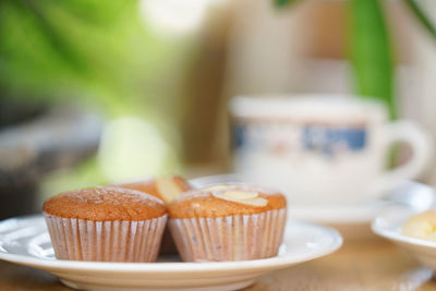 Close-up of cupcakes on table