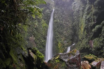 Low angle view of waterfall against trees