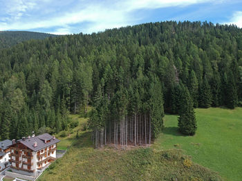 Panoramic shot of trees on land against sky
