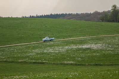 Scenic view of grassy field against sky