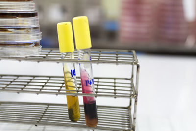 Close-up of liquids in test tubes on rack in laboratory