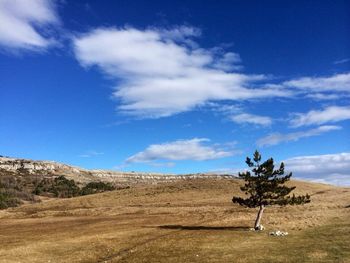 Scenic view of landscape against cloudy sky