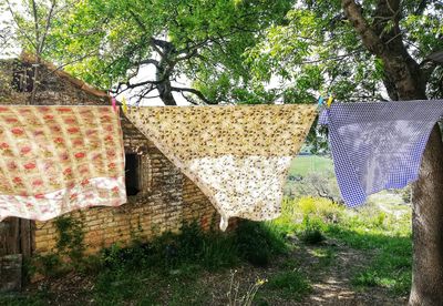 Clothes drying on field against trees