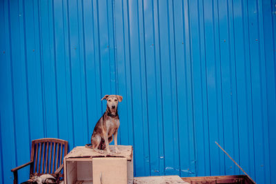 blue