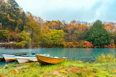 Scenic view of lake against trees during autumn