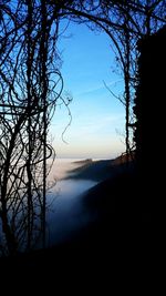 Silhouette bare tree against clear sky