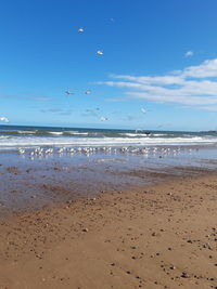 Scenic view of beach against sky