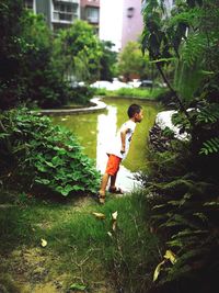 Man standing by plants in yard