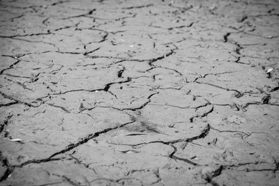 Close-up of cracked land