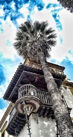 Low angle view of palm tree against sky