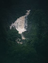 View of waterfall in forest