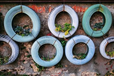 High angle view of potted plants