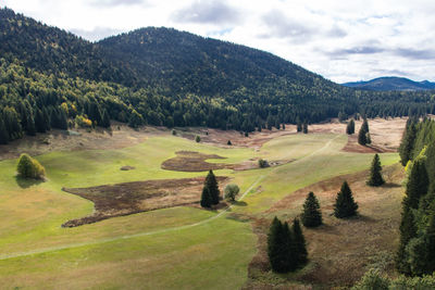 The plain of herbouilly in the high plateaus of vercors