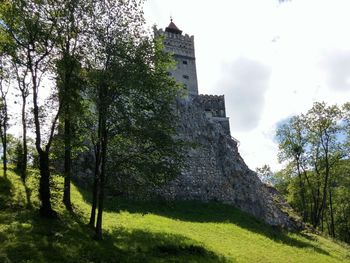 Trees in front of castle against sky