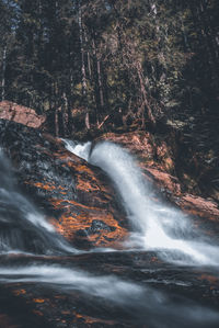 Scenic view of waterfall in forest