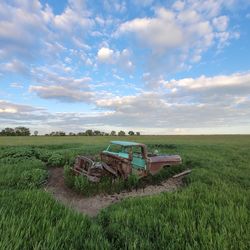 Scenic view of agricultural field against sky