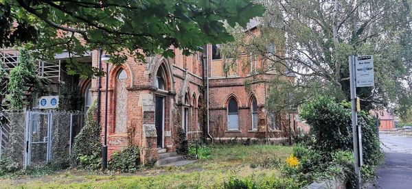 Plants growing on old abandoned building