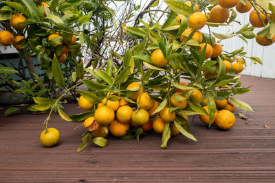 Close-up of fruits on table